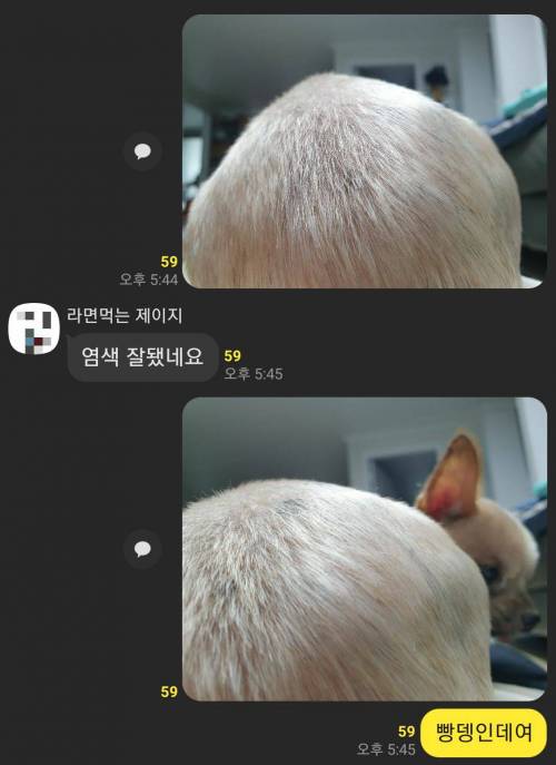 염색 잘 됐네요.jpg