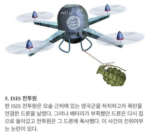 2019년의 다윈상 수상자들.jpg