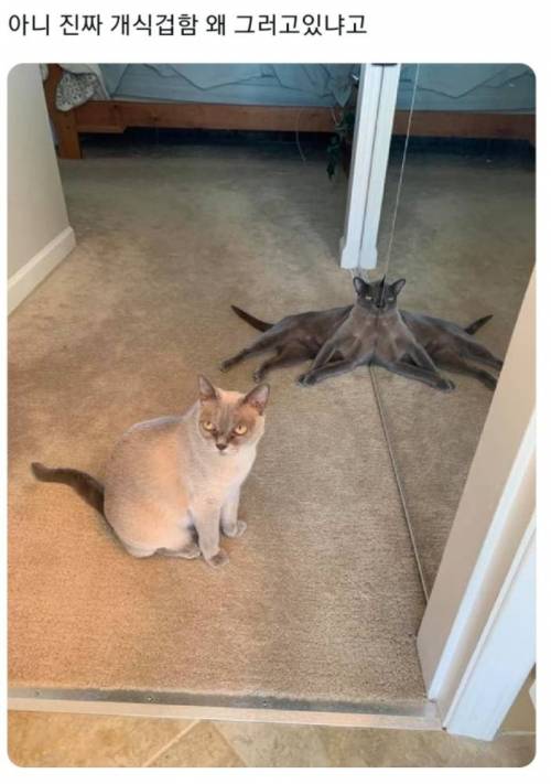 왜 그러고있냐고.jpg