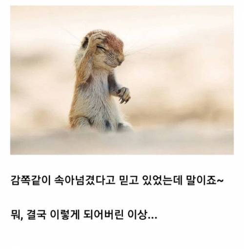 애니 실눈캐 특징.jpg