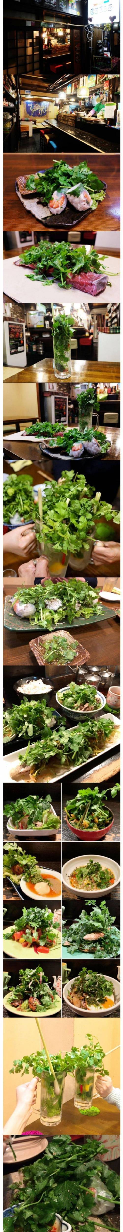 [스압] 일본에 있는 고수 전문식당.jpg