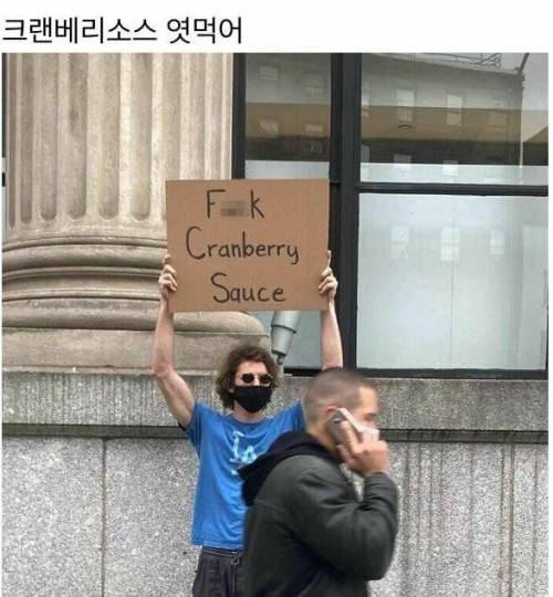 [스압] 일상의 소소한 불만을 가지고 1인시위하는 어느 뉴요커.jpg