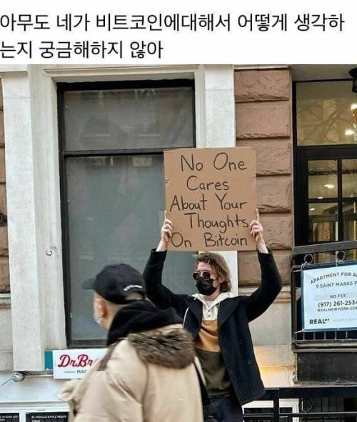 [스압] 일상의 소소한 불만을 가지고 1인시위하는 어느 뉴요커.jpg