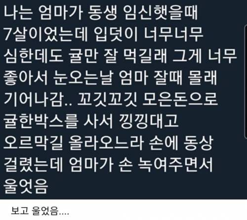 엄마가 동생 임신했을 때.txt