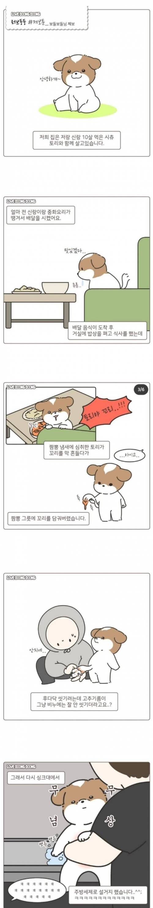 꼬리 설거지당한 강아지.jpg