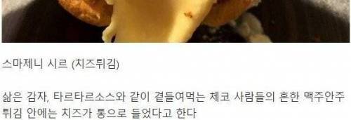 [스압] 체코인들의 맥주 안주.jpg