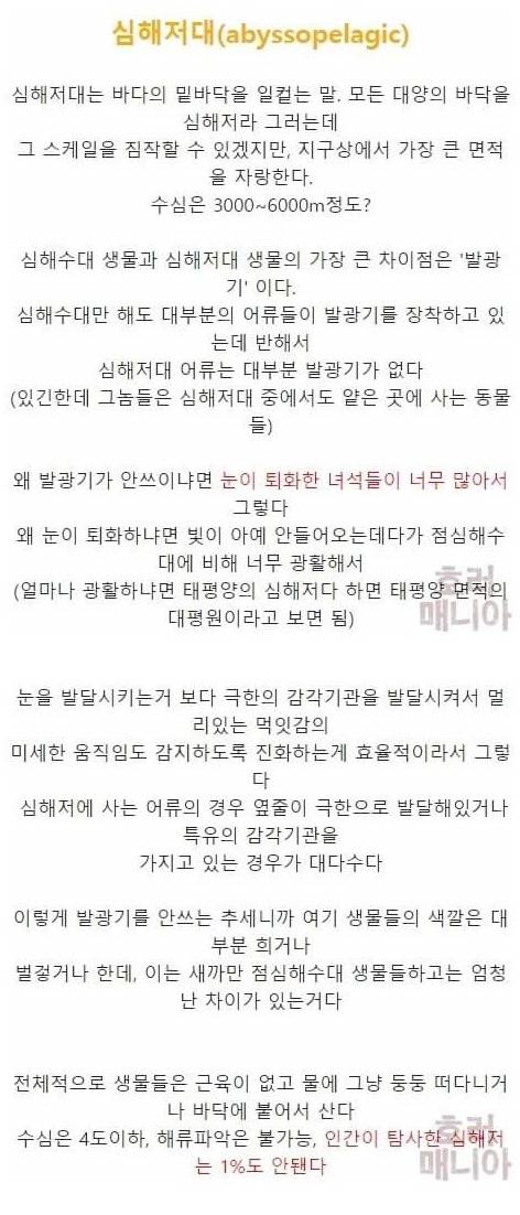 [스압] 바다 깊이에 따른 심해생물들
