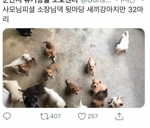 퇴근을 지켜보는 콧구멍들