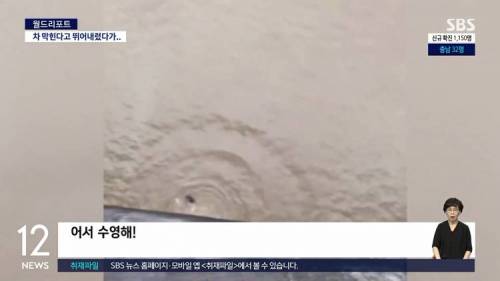 차 막힌다고 강으로 다이빙한 남자.jpg