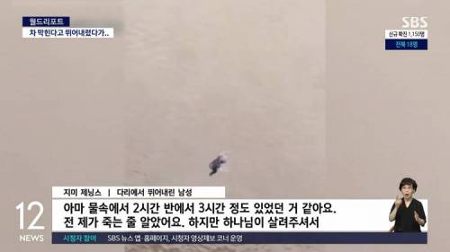 차 막힌다고 강으로 다이빙한 남자.jpg