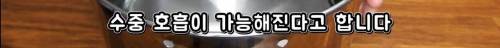 [스압] 먹으면 수중호흡이 가능해진다는 빵.jpg