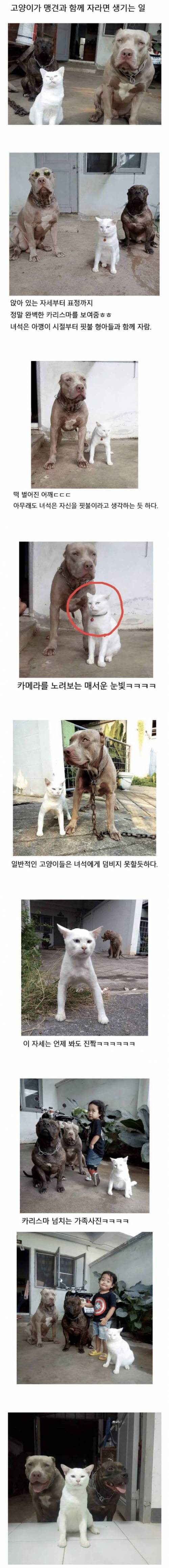 어릴적부터 친구가 중요한 이유.jpg