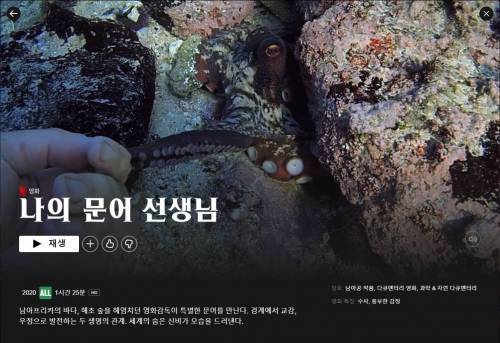 경이로웠던 다큐 '나의 문어 선생님'