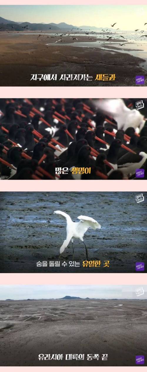 [스압] 세계에서 가장 중요한 곳.jpg