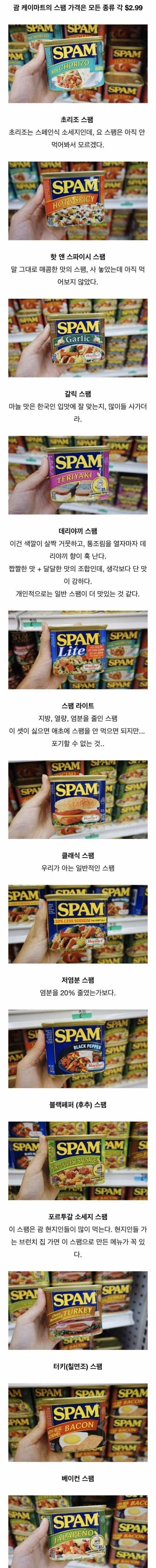 [스압] 해외의 여러가지 스팸.jpg