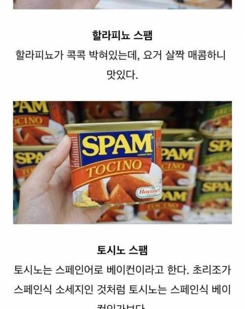 [스압] 해외의 여러가지 스팸.jpg