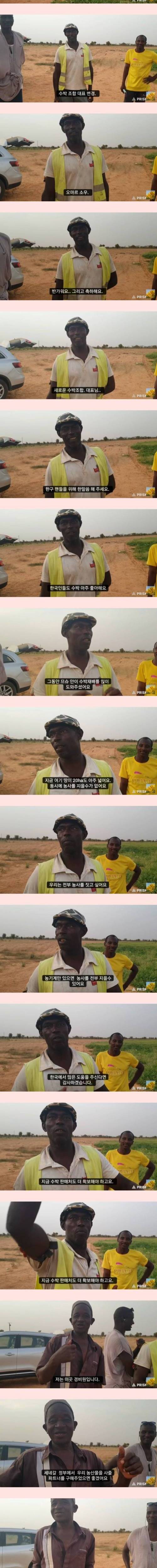 [스압] 세네갈에서 한국 수박 재배하는 농장..jpg