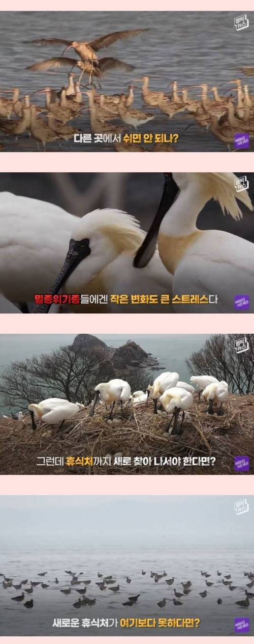 [스압] 세계에서 가장 중요한 곳.jpg