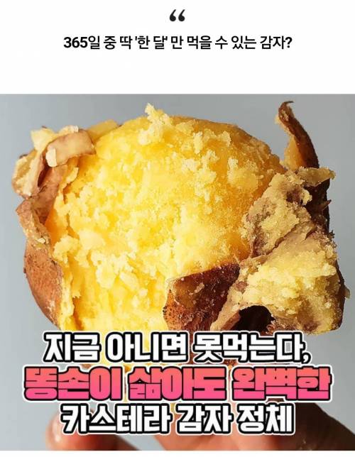 [스압] 7월에만 먹을 수 있다는 카스테라 식감의 홍감자.jpg