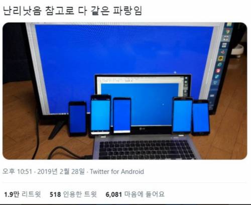 웹디자이너가 보면 눈물 뽑아내는 사진