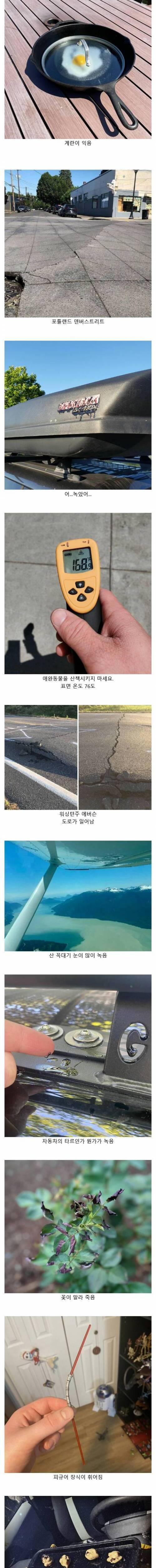 [스압] 북미 폭염 근황.jpg