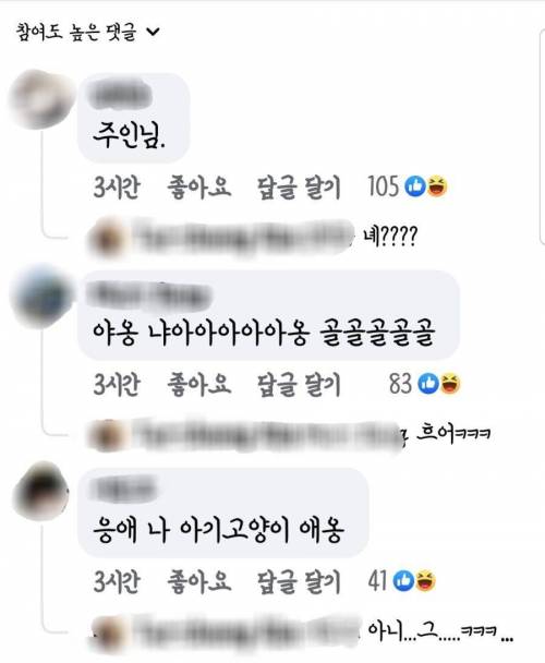 고앵이들 회 떠서 먹여도 되나요?