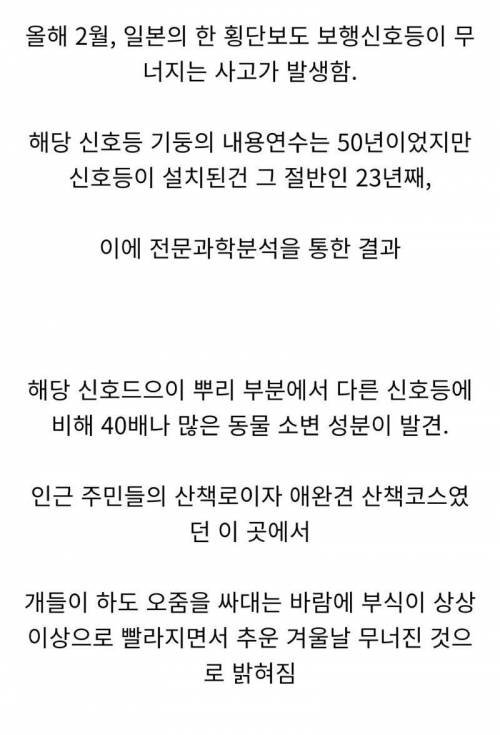 일본에서 철제 신호등이 무너진 이유.jpg