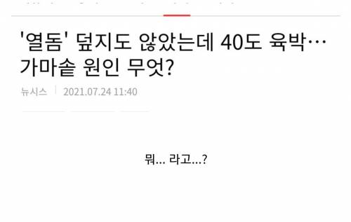 ??? : "네 녀석은 언제부터 '열돔'이 발동중이라고 착각하고 있던거지??"