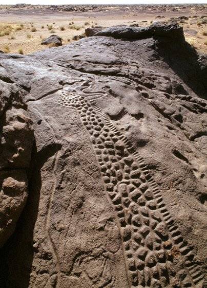 사하라 사막에 있는 신석기 시대 기린 암각화