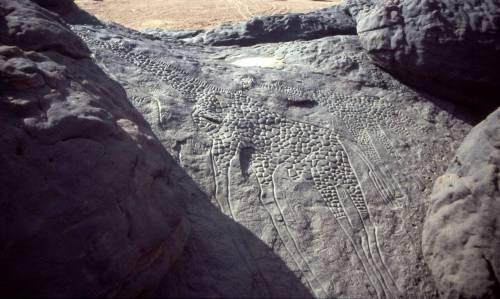 사하라 사막에 있는 신석기 시대 기린 암각화