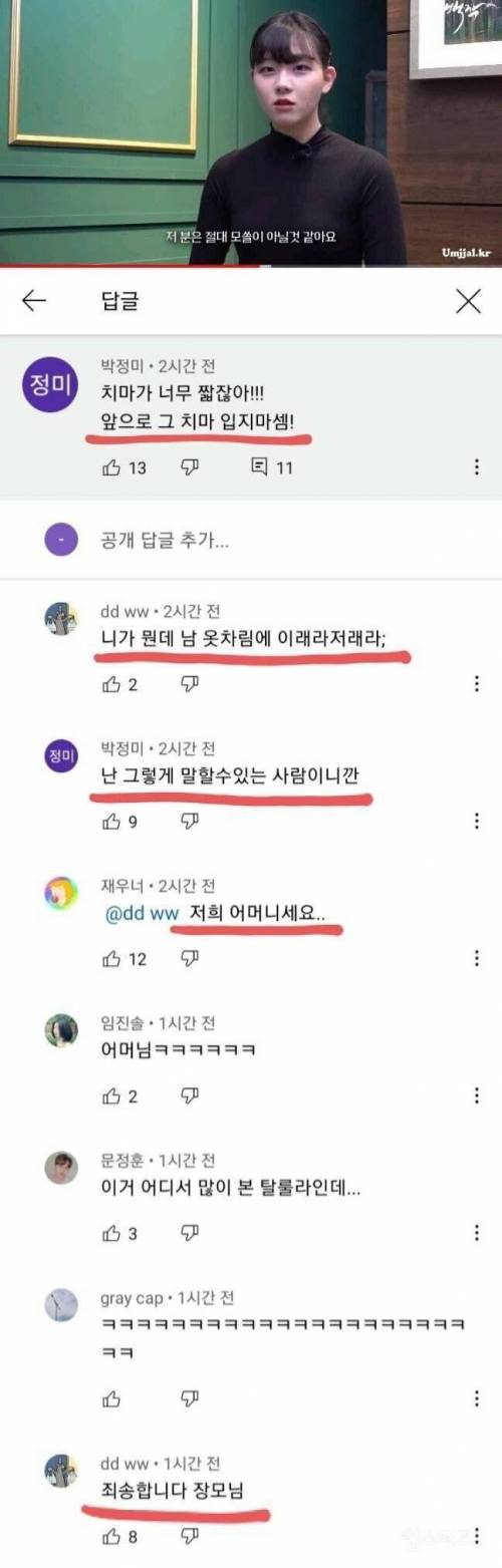 치마가 너무 짧다는 유튜브 댓글.jpg