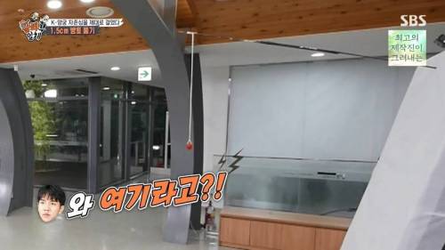[스압] 양궁 국가대표팀 방울토마토 관통하기 미션.jpg