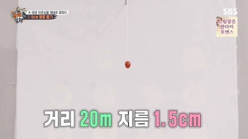 [스압] 양궁 국가대표팀 방울토마토 관통하기 미션.jpg