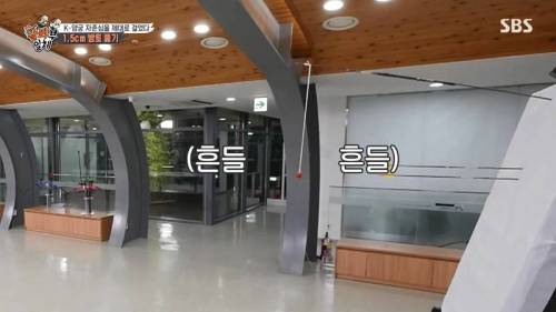 [스압] 양궁 국가대표팀 방울토마토 관통하기 미션.jpg