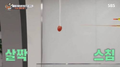 [스압] 양궁 국가대표팀 방울토마토 관통하기 미션.jpg