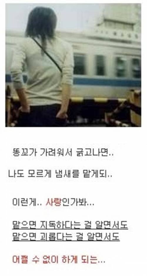 싸이월드 시절. 공유되었던 사랑의 정의