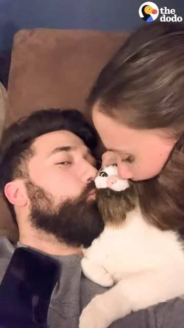 [스압] 고양이가 남편만 좋아하네요....
