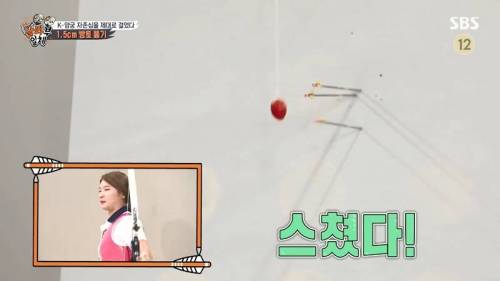 [스압] 양궁 국가대표팀 방울토마토 관통하기 미션.jpg