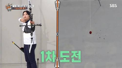 [스압] 양궁 국가대표팀 방울토마토 관통하기 미션.jpg