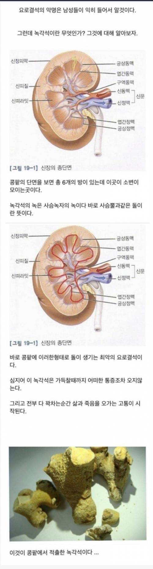 물 많이 드세요!.jpg