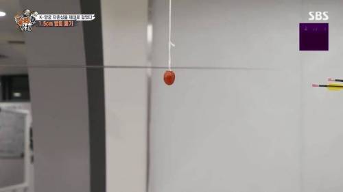 [스압] 양궁 국가대표팀 방울토마토 관통하기 미션.jpg