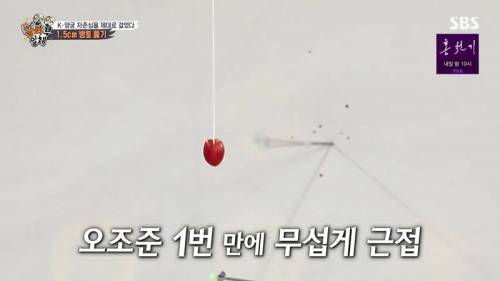 [스압] 양궁 국가대표팀 방울토마토 관통하기 미션.jpg