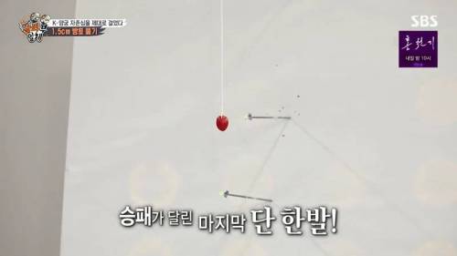 [스압] 양궁 국가대표팀 방울토마토 관통하기 미션.jpg