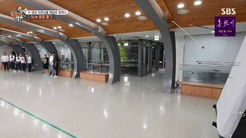 [스압] 양궁 국가대표팀 방울토마토 관통하기 미션.jpg