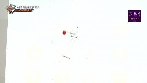 [스압] 양궁 국가대표팀 방울토마토 관통하기 미션.jpg