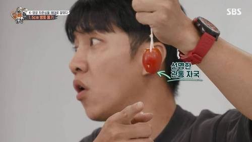 [스압] 양궁 국가대표팀 방울토마토 관통하기 미션.jpg