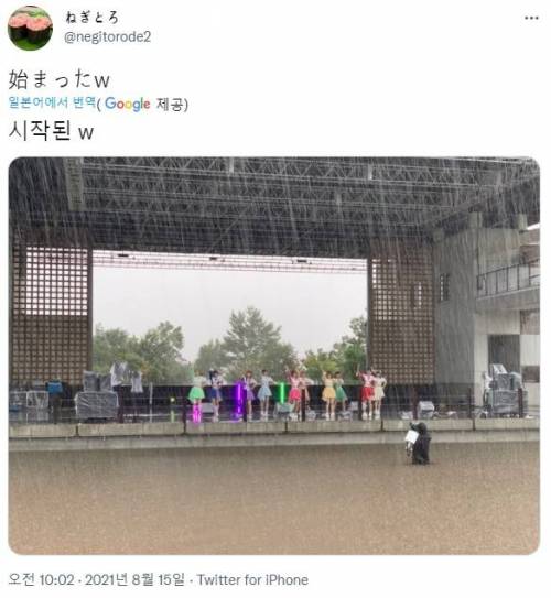 최근자 일본 여 아이돌 콘서트 근황.jpg