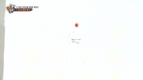 [스압] 양궁 국가대표팀 방울토마토 관통하기 미션.jpg