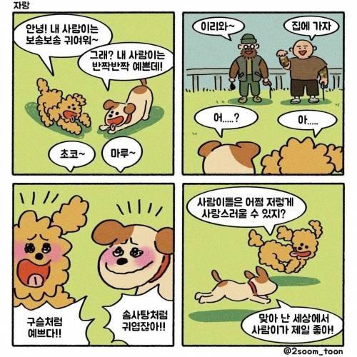 자기 주인을 자랑하는 댕댕이들 만화 .jpg