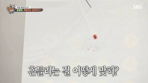 [스압] 양궁 국가대표팀 방울토마토 관통하기 미션.jpg